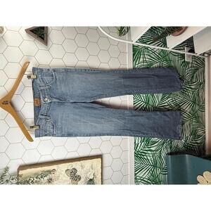 James Preserved Denim Light Blue Flare High-Rise Denim Jeans - Size - 29